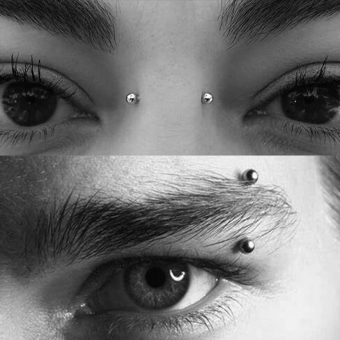 Longita Rook Piercing Jewelry Rook Jewelry Rook Earrings Surgical Steel Silver Gold Eyebrow Piercing Jewelry Internally Threaded Eyebrow Rings 16g Vertical Labret Lip Jewelry 8mm 10mm in Kuwait