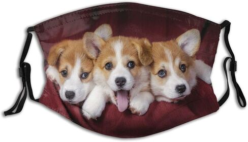 Dog Cute Corgi Face Mask, Washable Reusable Adjustable Adults Masks With Filter Balaclava For Women Men in Saudi Arabia
