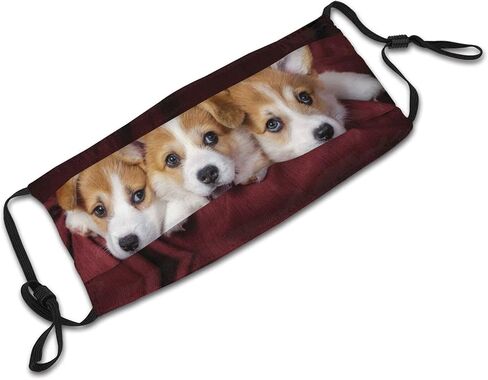 Dog Cute Corgi Face Mask, Washable Reusable Adjustable Adults Masks With Filter Balaclava For Women Men in Saudi Arabia