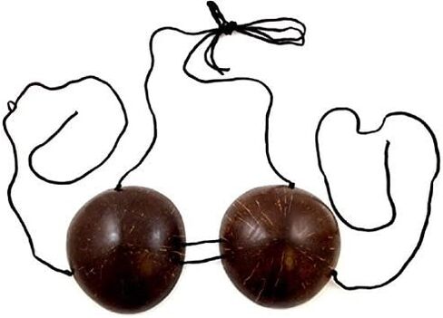 طقم زي تنكري وتنورة عشب هاواي مع حمالة صدر جوز الهند وزهرة لي in Kuwait