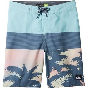 Quiksilver Boys Everyday Panel YTH 17 Boardshort Swim Trunk