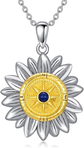 PROESS I'd be Lost without You Compass Necklace for Women Sterling Silver 2023 Inspirational Graduation Nautical Compass Jewelry Gifts for Couple Men in Saudi Arabia