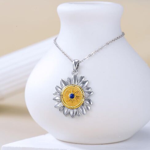 PROESS I'd be Lost without You Compass Necklace for Women Sterling Silver 2023 Inspirational Graduation Nautical Compass Jewelry Gifts for Couple Men in Saudi Arabia