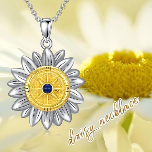PROESS I'd be Lost without You Compass Necklace for Women Sterling Silver 2023 Inspirational Graduation Nautical Compass Jewelry Gifts for Couple Men in Saudi Arabia