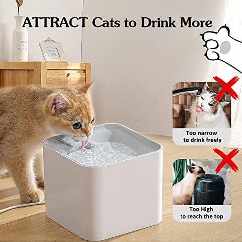 Cat Water Fountain Wireless,luti Pet Water Fountain for Cats Inside with Wireless Pump,Super Quiet Cat Water Fountain for Cats Kitty Dogs Multiple Pets 67oz/2L,Filters Included in Saudi Arabia