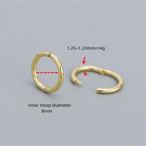 Minimalist Endless Small Hoop Earrings 925 Sterling Silver for Women Girls Hypoallergenic 14g Tiny Cartilage Huggie Hoops Helix Septum Nose Rings Daith Tragus Fashion Polished Body Piercing Jewelry in Kuwait