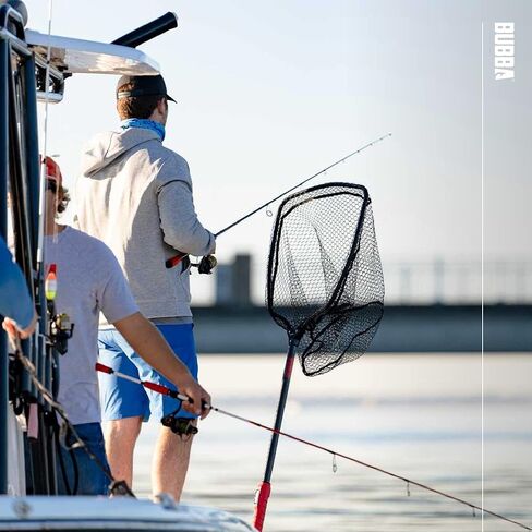 بوبا هودي in Kuwait