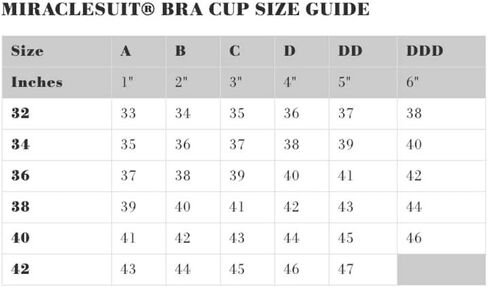Miraclesuit Women's Swimwear DD-Cup Linked in Colorblock Oceanus V-Neck Soft Cup One Piece Swimsuit in Saudi Arabia