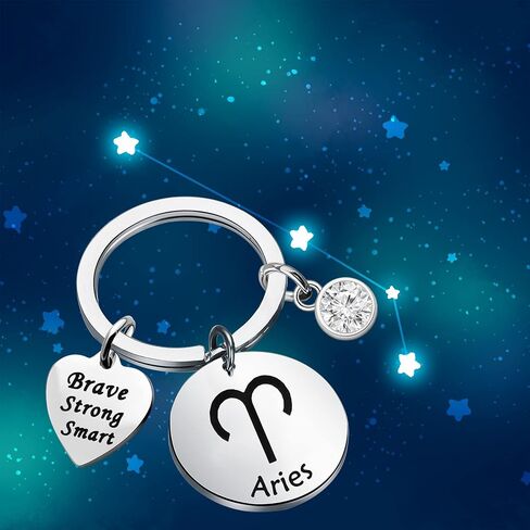 bobauna 12 Zodiac Constellation Disc Keychain Birthstone Horoscope Jewelry Astrology Gift For Family Friend in Kuwait