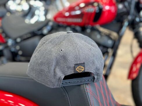 هارلي ديفيدسون قبعة جرافيك مطرزة للرجال، رمادي - 99420-20VM in Kuwait