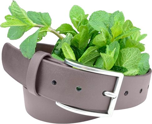 Truth Vegan Mens Belt is Classic Designed for Every Occasion, Perfect Work Belts for Men, Durable Tough Men Belts for Jeans in Kuwait