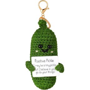 Landical Funny Positive Cucumber Pickle Keychain Crochet Knitted Positive Emotional Pickle Cucumber Doll with Positive Card Cucumber Keys Bags Ornament for Birthday Creative Funny Inspirational Gift in Kuwait