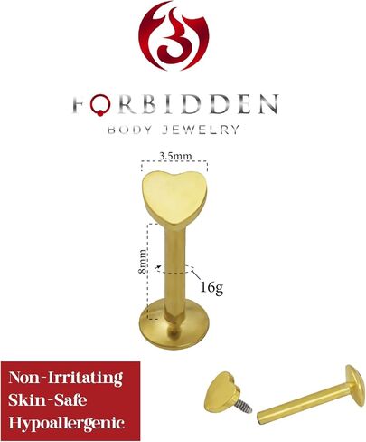 Forbidden Body Jewelry 16g Tragus Earring, Helix Earring & Labret Piercing Stud, Internally Threaded 3.5mm Heart Top Stud in Saudi Arabia