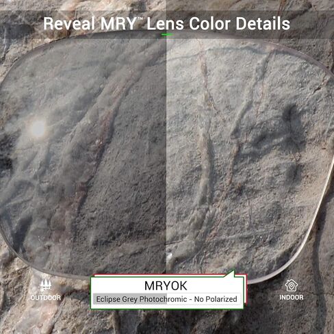 Mryok Replacement Lenses for Spy Optic Dirty Mo - 61mm - Options in Saudi Arabia