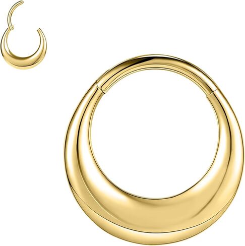 ZS 16G Segment Septum Nose Rings for Women Men, 8mm 10mm ASTM F136 Titanium Clicker Cartilage Earrings Teardrop Hoop Rook Helix Piercing Jewelry in Saudi Arabia