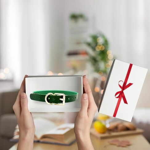 جلد SV مصنوع في الولايات المتحدة الأمريكية in Kuwait