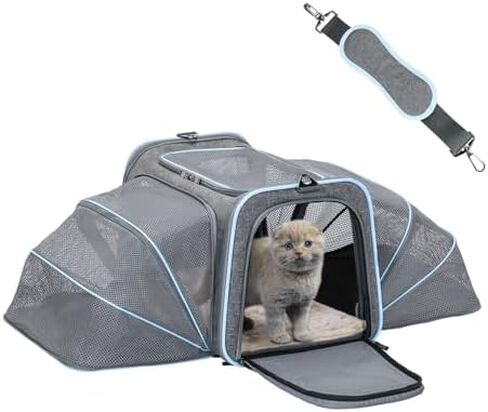 حاملات أرنب قابلة للتوسيع من Petsfit، حاملة حيوانات أليفة معتمدة من شركة الطيران مقاس 16 بوصة مع امتدادين، وسادة ناعمة قابلة للغسل، رأس سحاب ذاتي القفل، حبل أمان مدمج، مناسب للسفر in Kuwait