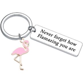 Mebvdebe Motivational Flamingo Keychain Gifts Flamingo Gifts for Women Men Flamingo Lover Jewelry Gift for Family Animal Lovers Flamingo Key rings Flamingo Lovers Gift, Silver, One size in Kuwait