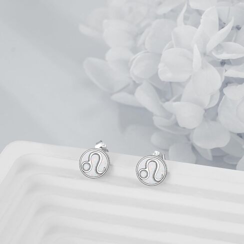 Constellation Earrings for Women 925 Sterling Silver Zodiac Sign Stud Earrings White Opal Constellation Jewelry in Saudi Arabia