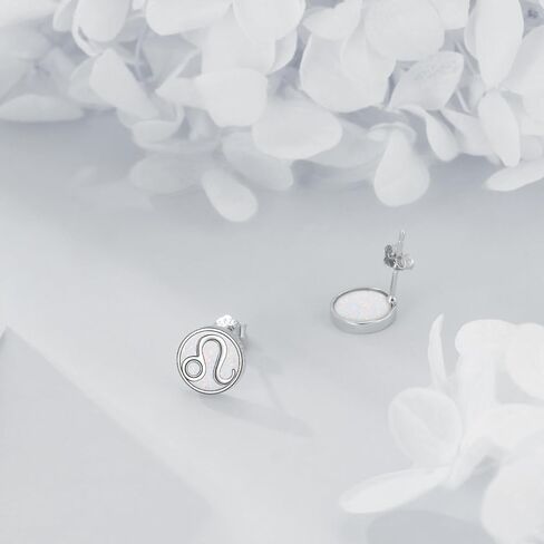 Constellation Earrings for Women 925 Sterling Silver Zodiac Sign Stud Earrings White Opal Constellation Jewelry in Saudi Arabia