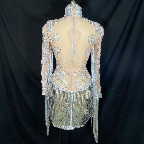 Yoyomomozi Sparkly Silver Fringe Mesh Transparent Sequin Dress Women Birthday Celebrate Bar Latin Dancer Dress Drag Queen Costumes Stage in Kuwait