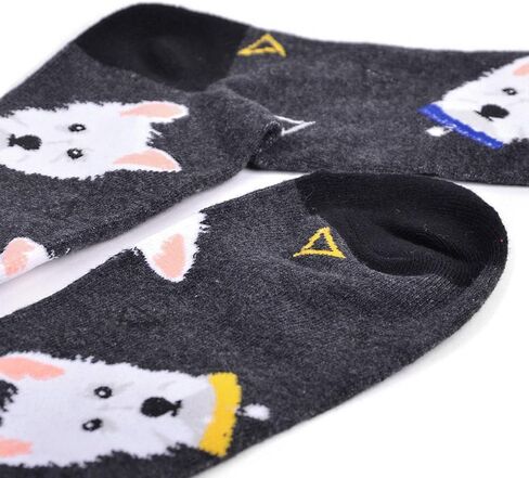 جوارب ويست هايلاند تيريار للرجال، جوارب ويست هايلاند للرجال، هدايا ويستي مبتكرة للرجال in Kuwait