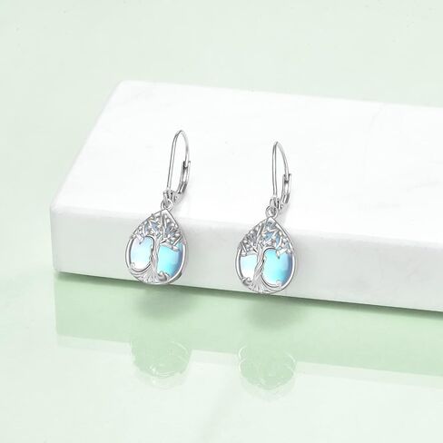YFN 925 Sterling Silver Dangle Drop Earring Hypoallergenic Earring Jewelry Gift for Women Girls in Saudi Arabia