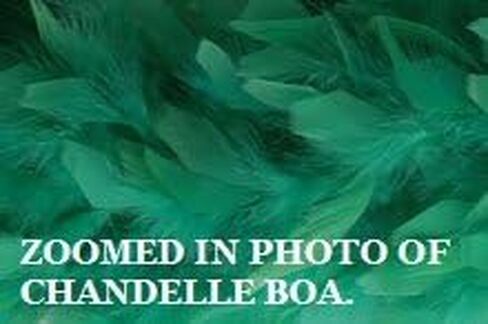65 Gram Chandelle Feather Boa (Brown) in Saudi Arabia
