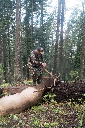 First Lite Corrugate Guide Pants in Kuwait