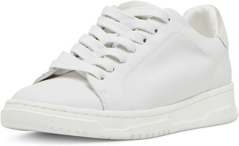 Steve Madden Women's Elsin Sneaker in Saudi Arabia