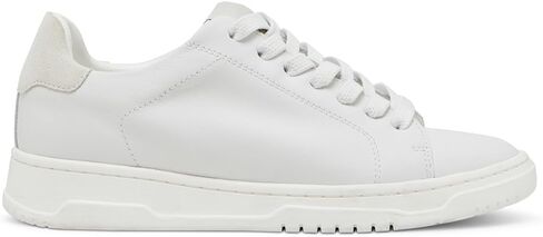 Steve Madden Women's Elsin Sneaker in Saudi Arabia
