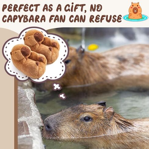 شباشب Simgoing Capybara اللطيفة من القطيفة، أحذية Capybara الدافئة للمنزل، أحذية Capybara ملفوفة بالقدم للنساء والرجال في الأماكن المغلقة والمفتوحة والشتاء وأصدقاء العائلة هدية رائعة in Kuwait