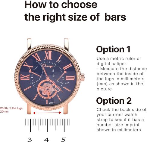 Flexzion Watch Band Spring Bars Set 360 Pcs - Wrist Watches Strap Link Pins Repair Tool 8-25mm Stainless Steel Kit Pack for Watch Link Removal, Screwdriver, Professional Watchmaker with Storage Box in Saudi Arabia