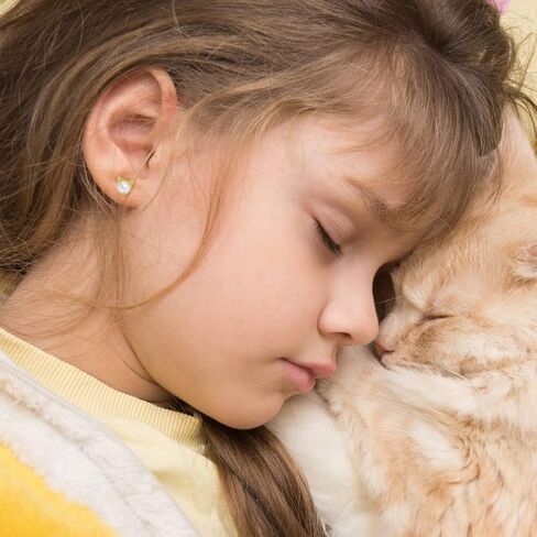 14k Yellow Gold Small Round Mother Pearl Kitten Screw Back Earrings for Young Girls & Preteens - Kitty Cat Screw Backs for Toddler Girls in Saudi Arabia