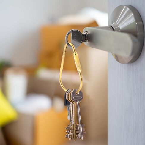 KALIONE 3 Pcs Brass Key Ring Brass Keychain Holder Brass Screw Lock Keychain Brass Screw Lock Clip Key Ring D Ring with Closing Screw for Men Women(Gold) in Saudi Arabia
