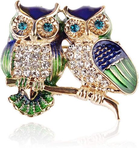 Xjoyous Brooch Owl Shape Rhinestone Covered Crystal Beauty Brooch Pin Scarves Shawl Clip for Women Ladies in Saudi Arabia