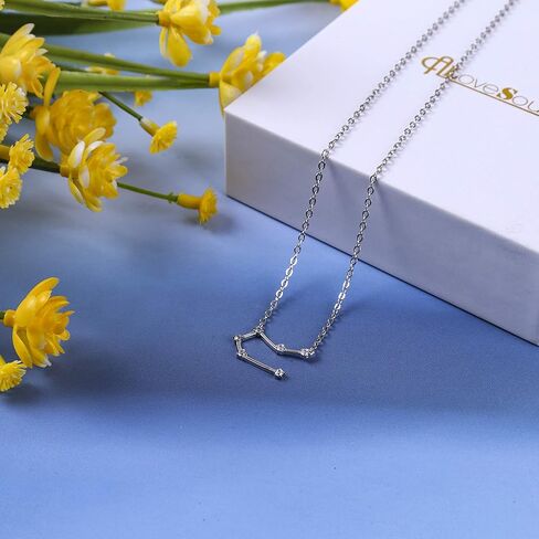 ALoveSoul 925 Sterling Silver Constellation Horoscope Zodiac Necklace, Birthday Gifts for Women Girls in Kuwait
