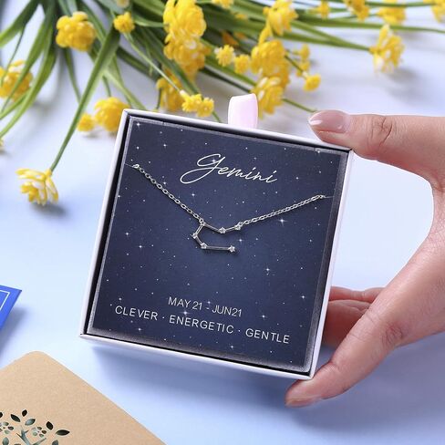 ALoveSoul 925 Sterling Silver Constellation Horoscope Zodiac Necklace, Birthday Gifts for Women Girls in Kuwait
