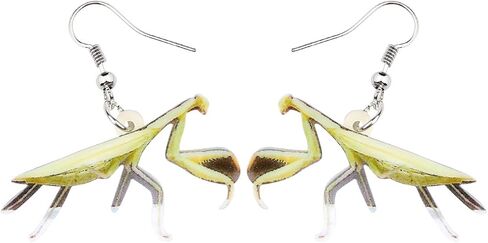DUOWEI Acrylic Cute Brown Devil Horse Mantis Earrings Insect Dangle Drop Jewelry for Women Girls Teens Funny Gifts in Saudi Arabia
