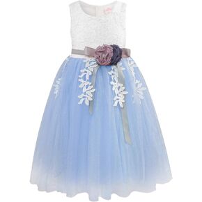 Bonny Billy Girl's Classy Embroidery Lace Maxi Flower Girl Dress
