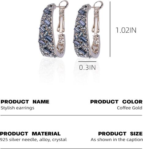 Qlady Crystal Hoop Earrings For Women Bright Silver Plated Oval Inside Out Earring,Sparkly Earring Jewelry in Kuwait