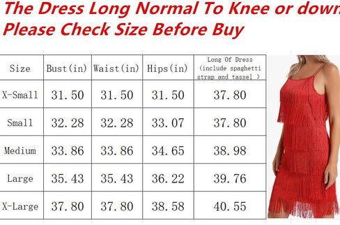 Women's Great Gatsby Flapper Spaghetti Tassel Dress with Headband, 20s Elegant Mini Dress Party Accessory COSTUME OUTFIT (S, Black) in Saudi Arabia