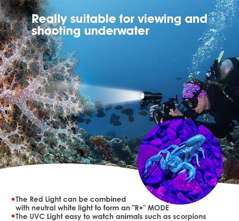 Willcrew DF60 6000 Lumen Dive Lights Professional Scuba Diving Underwater Flashlight، 150M IPX-8 مقاوم للماء غوص الشعلة مصباح يدوي غاطس مع شاحن in Kuwait