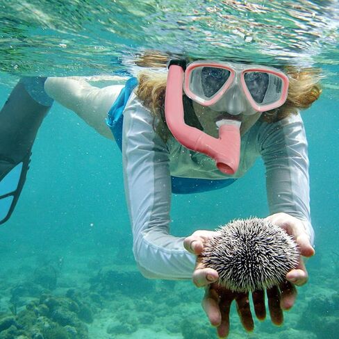 مجموعة أدوات الغطس للأطفال، نظارات سباحة للأطفال مع غطاء للأنف، قناع الغطس، معدات الغطس للأولاد والبنات الصغار من سن 6 إلى 16 عامًا، نظارات غوص من السيليكون ومعدات حمام سباحة كومبو للغطس in Kuwait