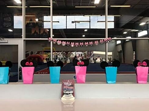 CLGIFT Set of 12 Minnie Ears, Ears, Mickey Ears, Theme Party, Boys and Girls One Size Fits All in Kuwait