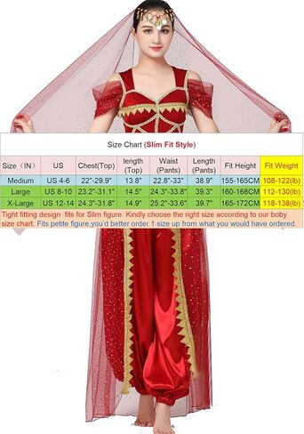 ZLTdream Women Cosplay Costume Indian Belly Dance Costume Bra Top with Chest & Pants & Head Veil Halloween in Saudi Arabia