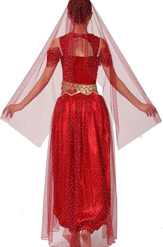 ZLTdream Women Cosplay Costume Indian Belly Dance Costume Bra Top with Chest & Pants & Head Veil Halloween in Saudi Arabia