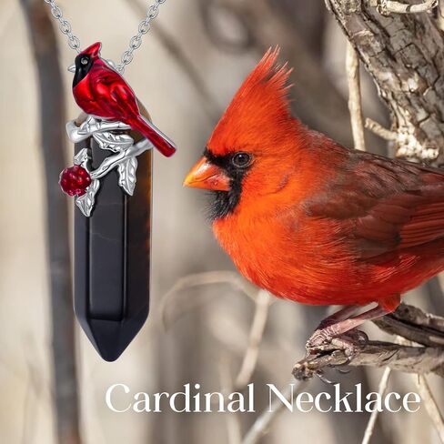 Plesitep الكاردينال قلادة 925 الفضة الاسترليني الريكي شفاء الكريستال الطبيعي سداسية عين النمر حجر الكاردينال الطيور قلادة قلادة للنساء الفتيات in Kuwait