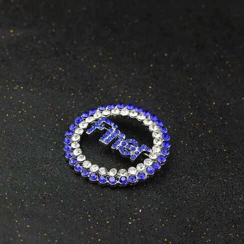 Greek ZPB Sorority Brooch Pin for Women Sorority Paraphernalia Jewelry Gift for Finer Women Jewelry 1920 Sisterhood Gift in Kuwait