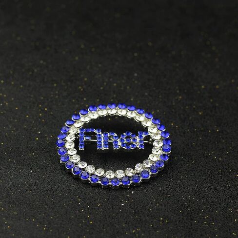 Greek ZPB Sorority Brooch Pin for Women Sorority Paraphernalia Jewelry Gift for Finer Women Jewelry 1920 Sisterhood Gift in Kuwait